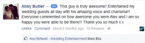 Excellent Wedding Singer Review The Villa